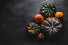 好看的南瓜摄影写真