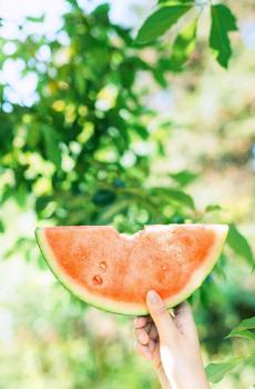 夏季小清新静物日系摄影-7