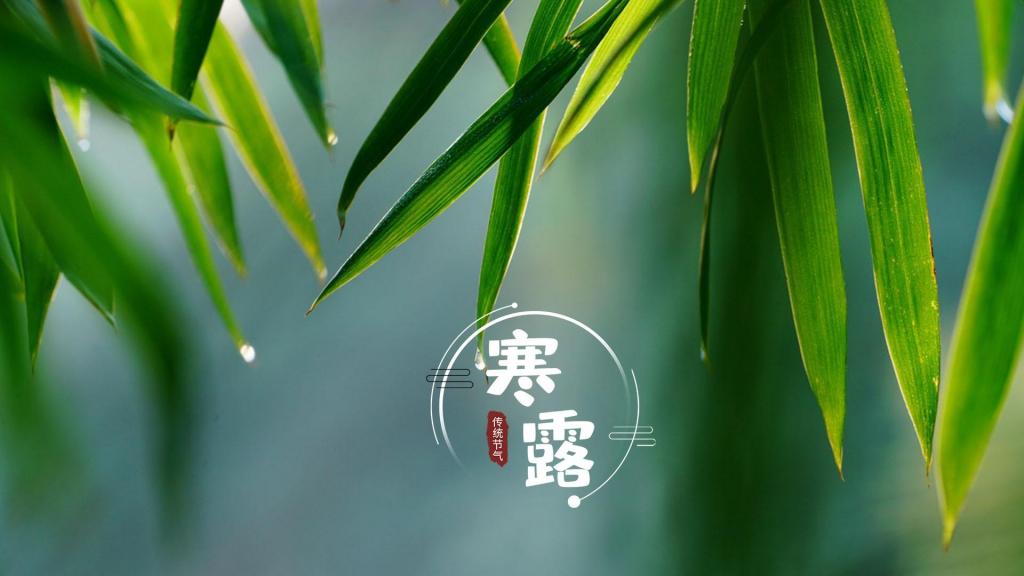 二十四节气寒露清新护眼竹叶