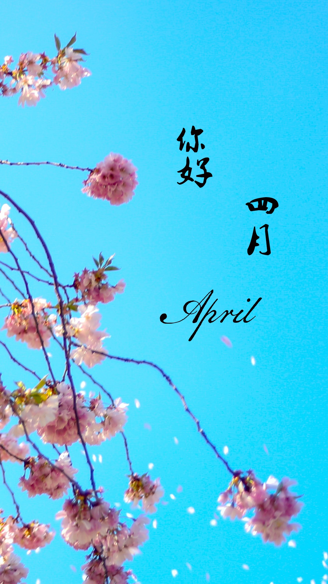 朝气蓬勃的四月你好