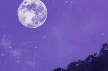 优美意境风景油画背景图 