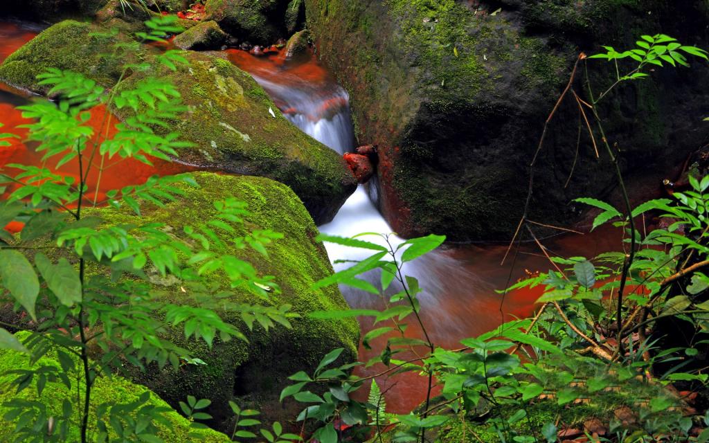 贵州赤水天柱峰佛光岩风景