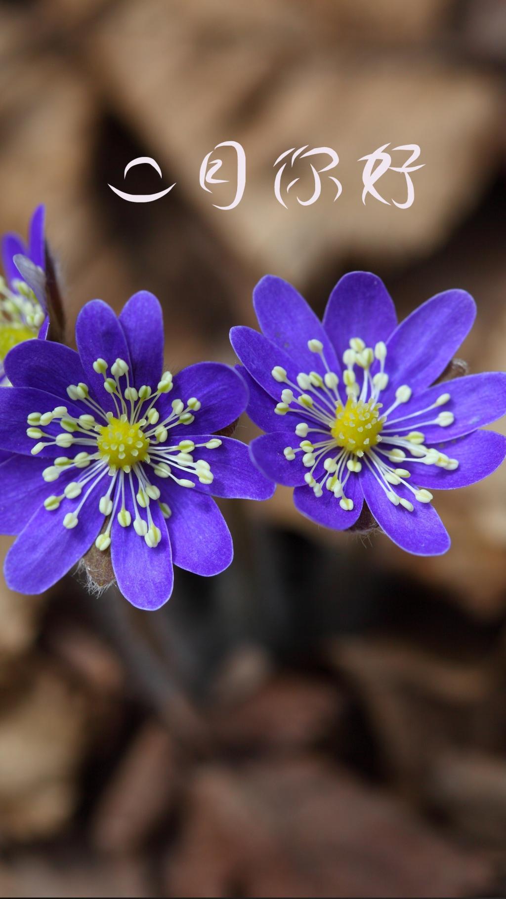 二月,一起迎接春天