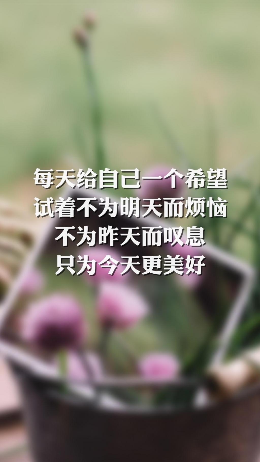 正能量带字说说配图