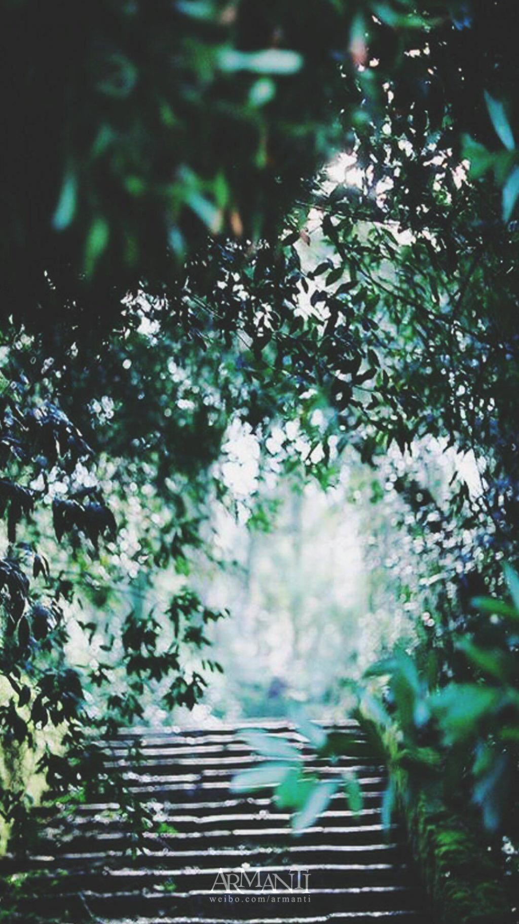 小清新绿色系列