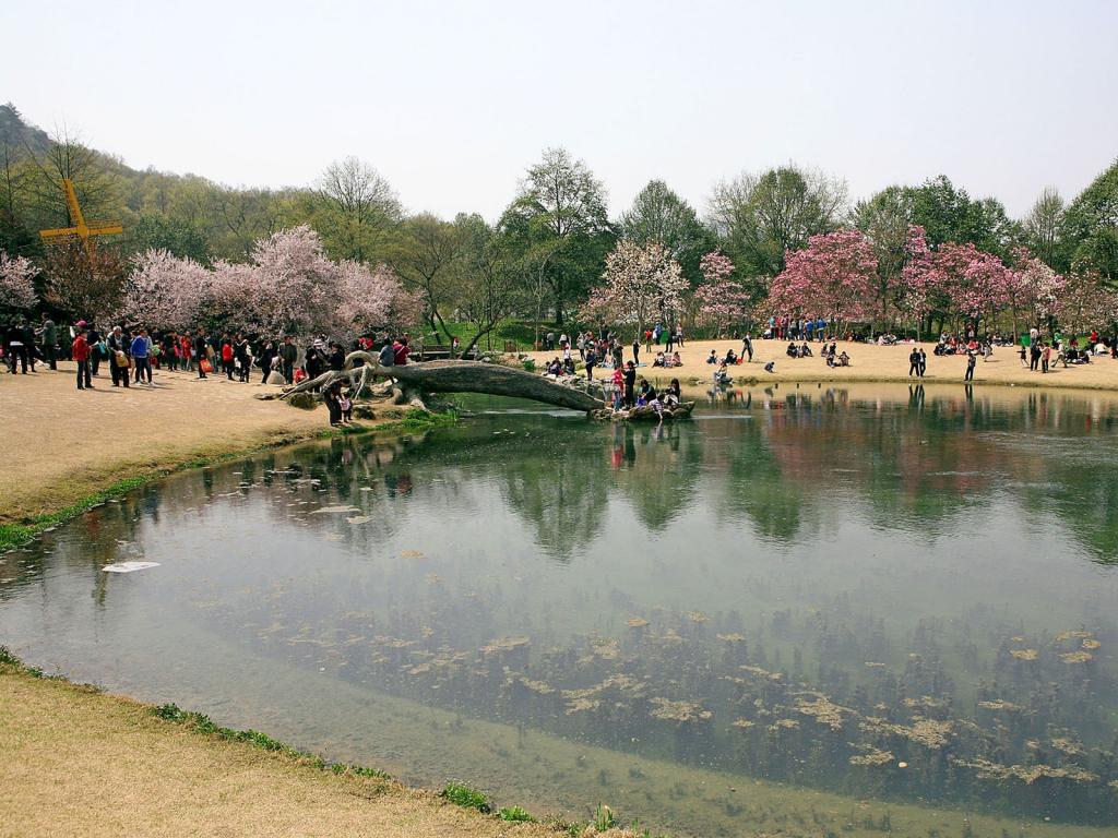 太子湾公园风光