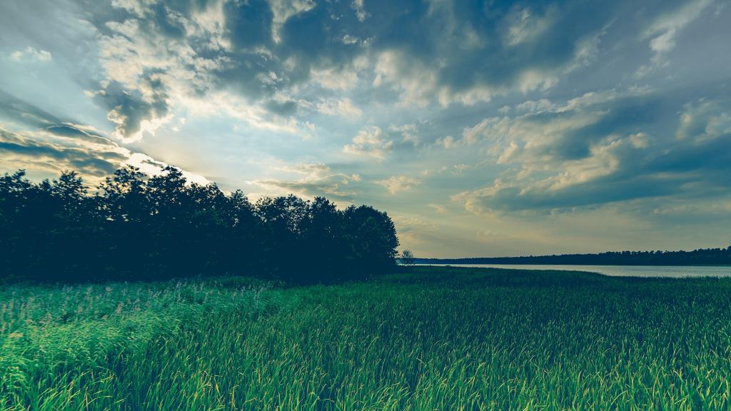 广袤的草原风光美景