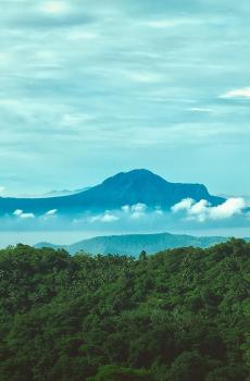 倾听大自然的魅力-3