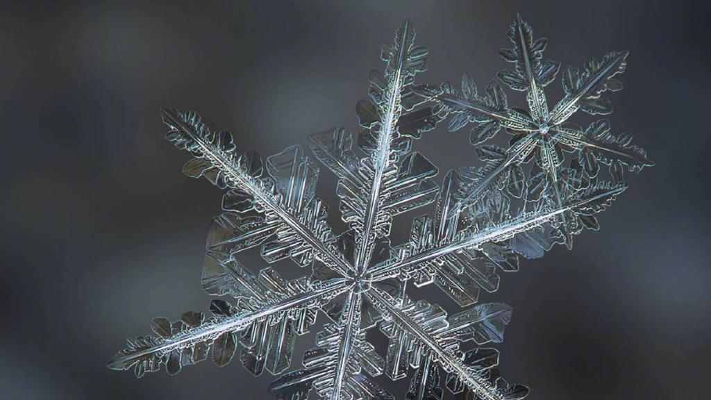 冬季里晶莹剔透的唯美雪花写真