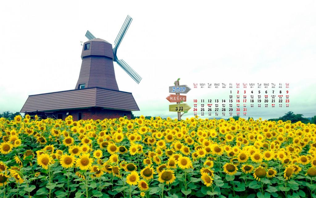 2019年3月荷兰唯美风光日历