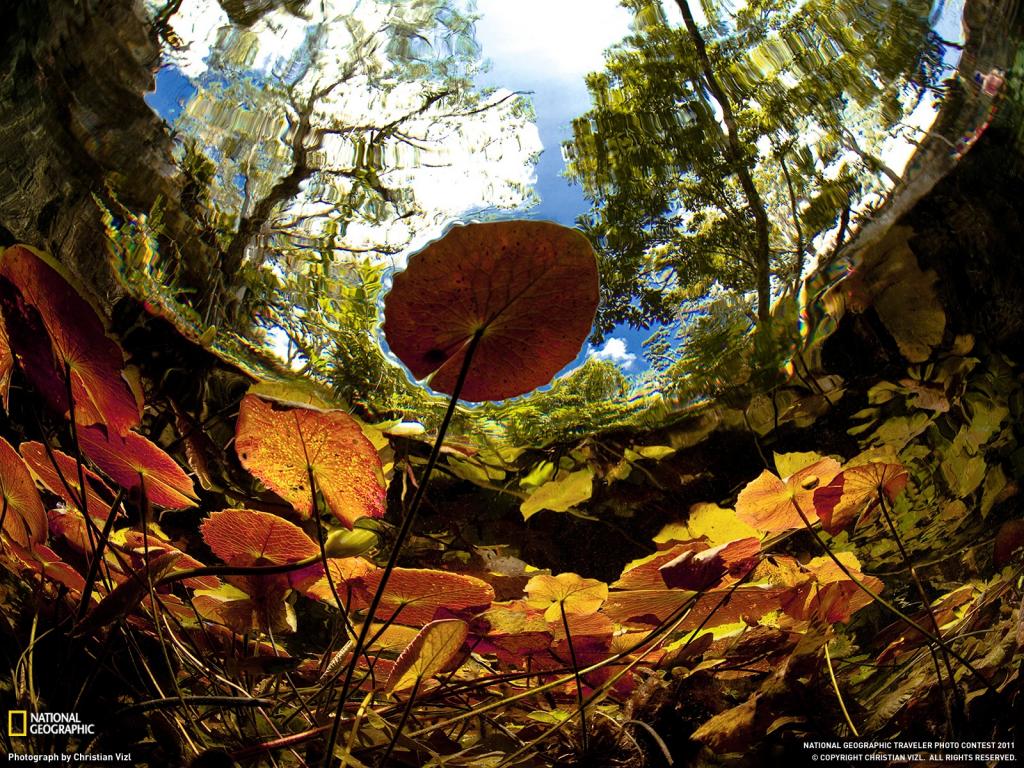 国家地理杂志年终回顾壁纸