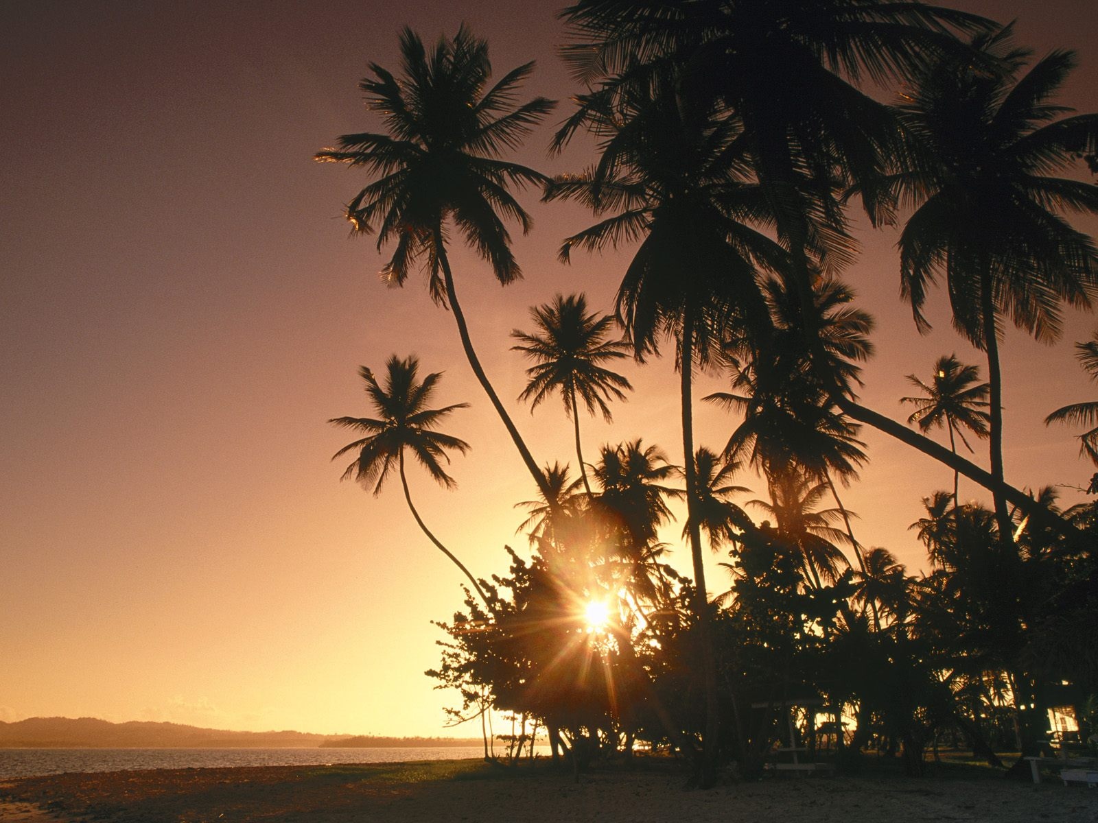 夕阳已经悬在半空中了