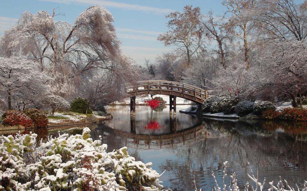 不能错过的日本雪景