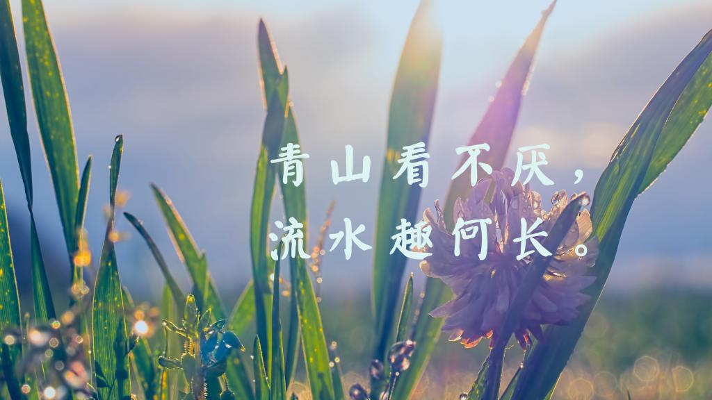 治愈系短句唯美清新图片