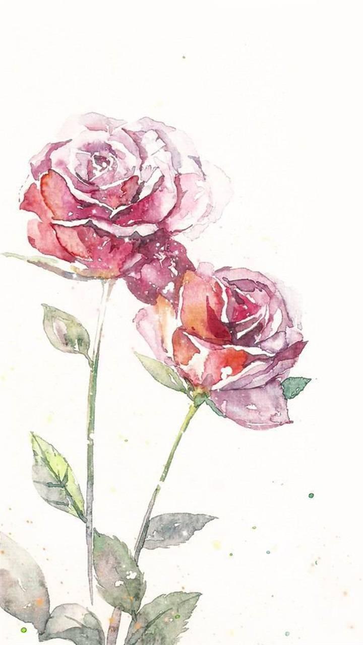 唯美手绘玫瑰花