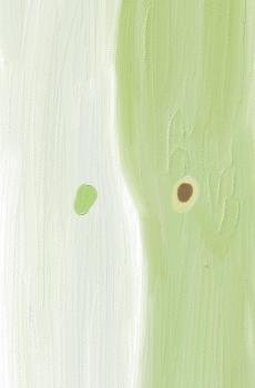 可爱小清新纯色油画风手绘-7