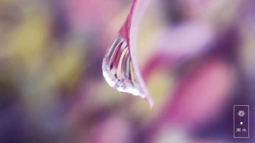 传统二十四节气雨水