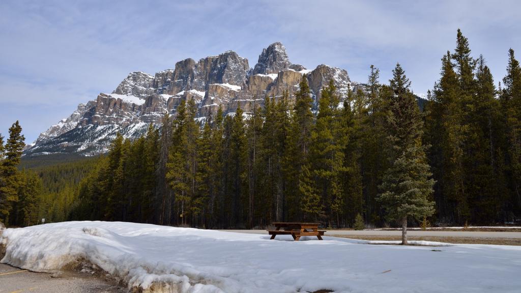 山上的雪景美丽动人