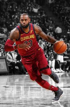 全能球员詹姆斯-2