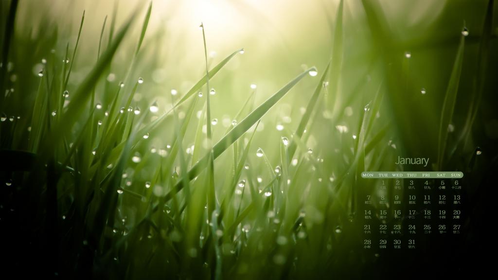 2019年1月小清新绿色植物护眼写真日历