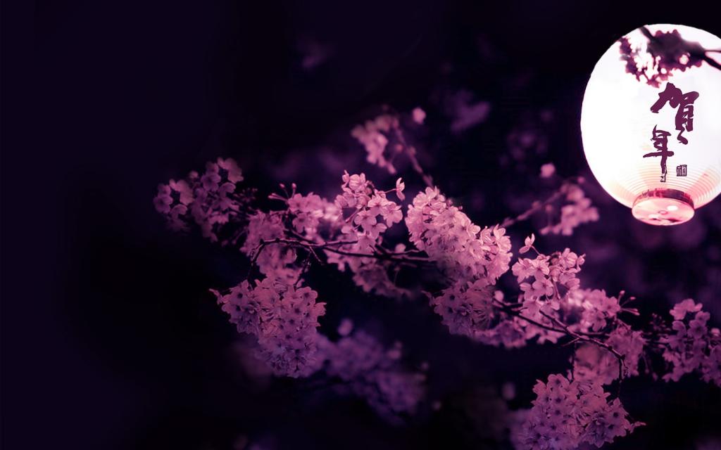 2012年龙年春节新年