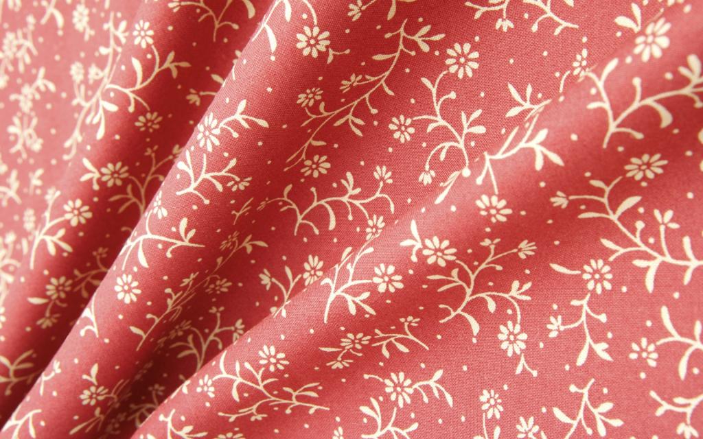 布纹蕾丝静物写真