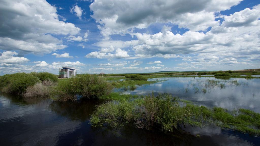额尔古纳河风景
