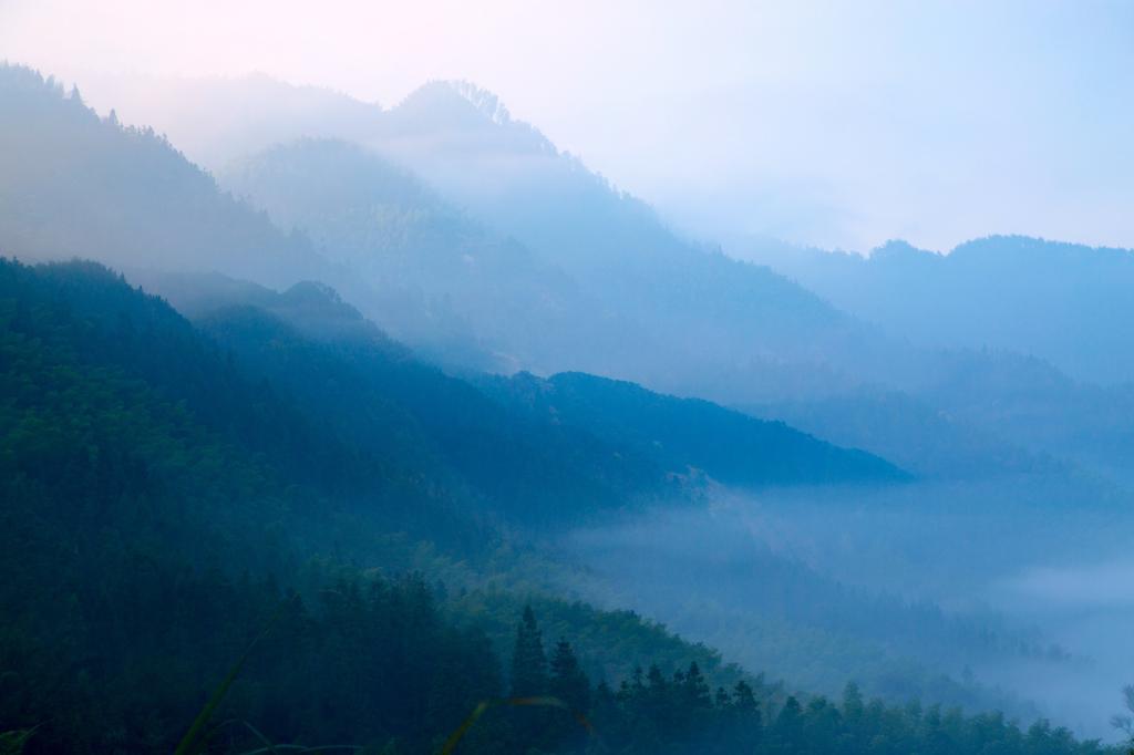唯美梦幻的雾气
