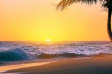 5k高清海滩椰树风景