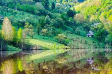 绿色护眼高清壁纸