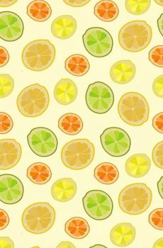 手绘水果平铺插画-7
