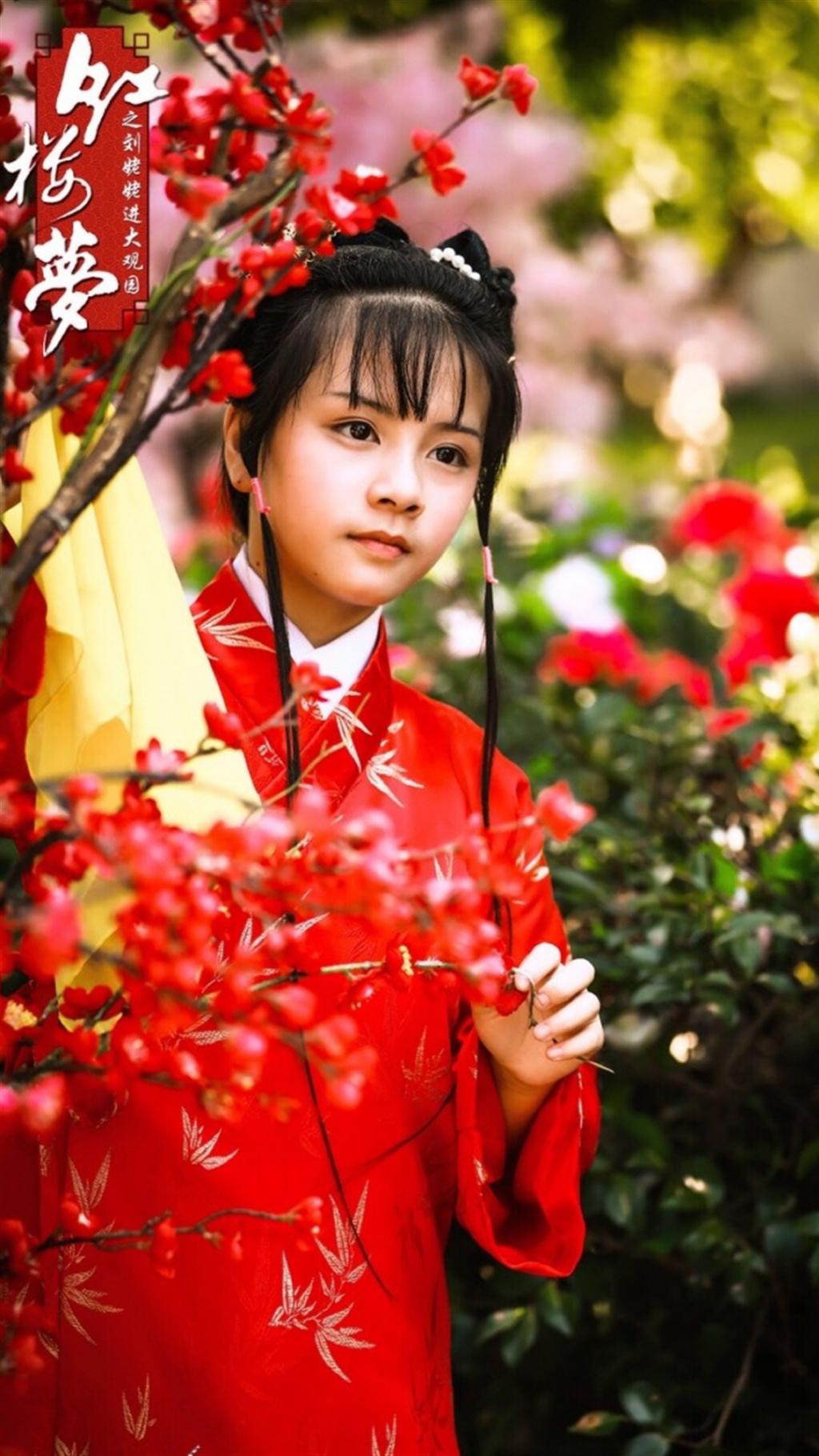 小戏骨红楼梦影视剧照