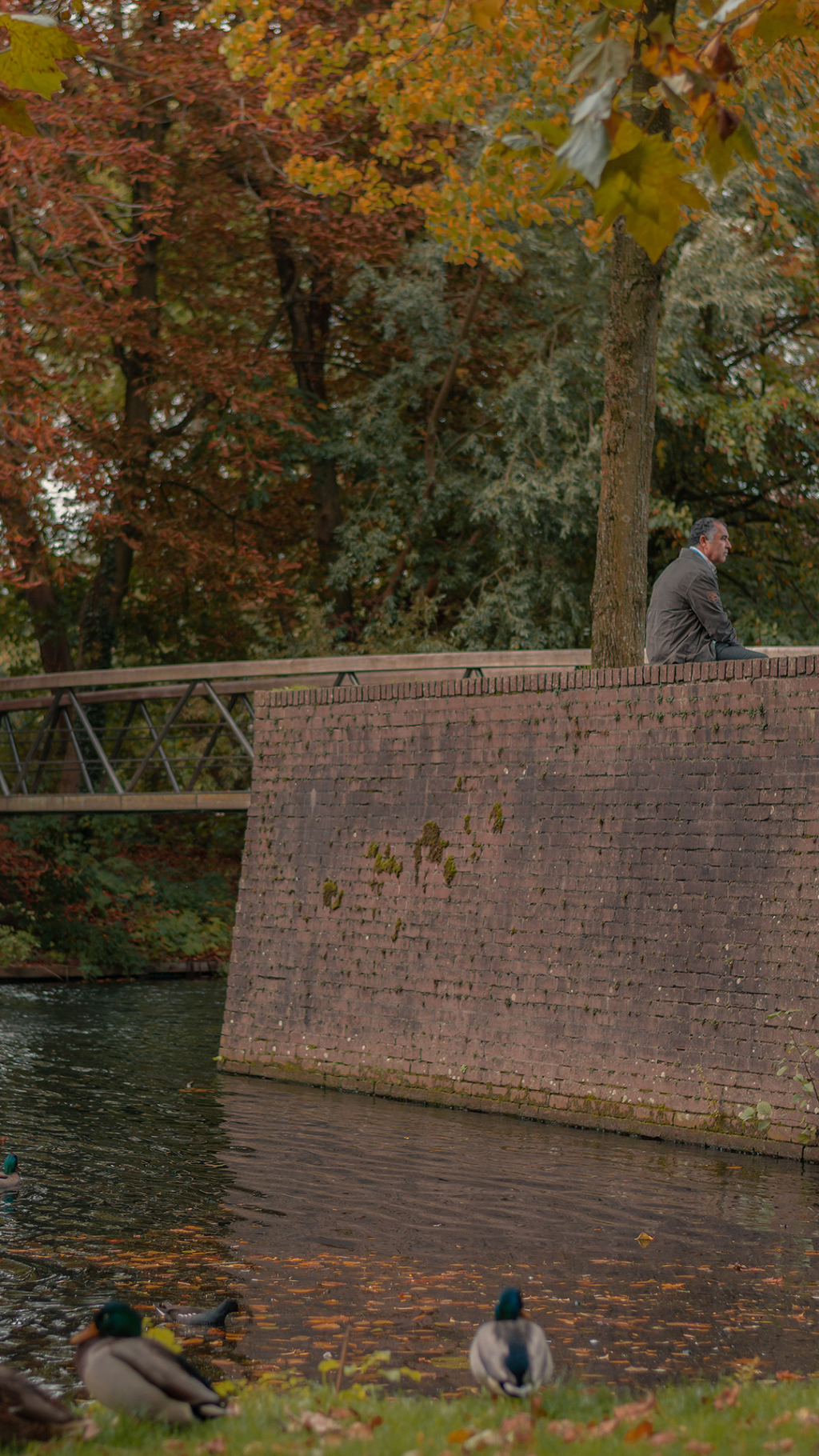 秋季唯美自然北欧风景