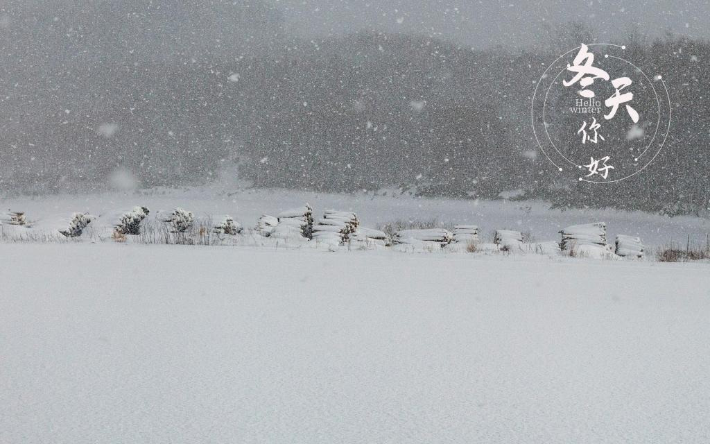冬天你好优美迷人雪景意境
