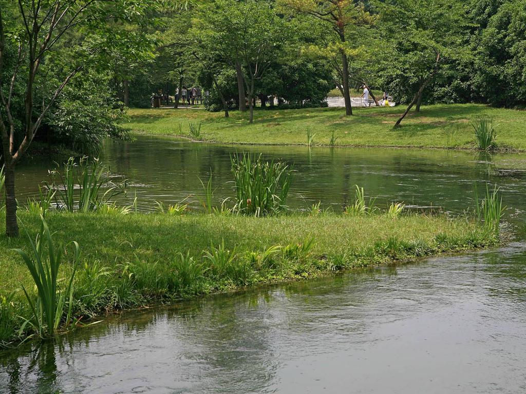 太子湾公园风光