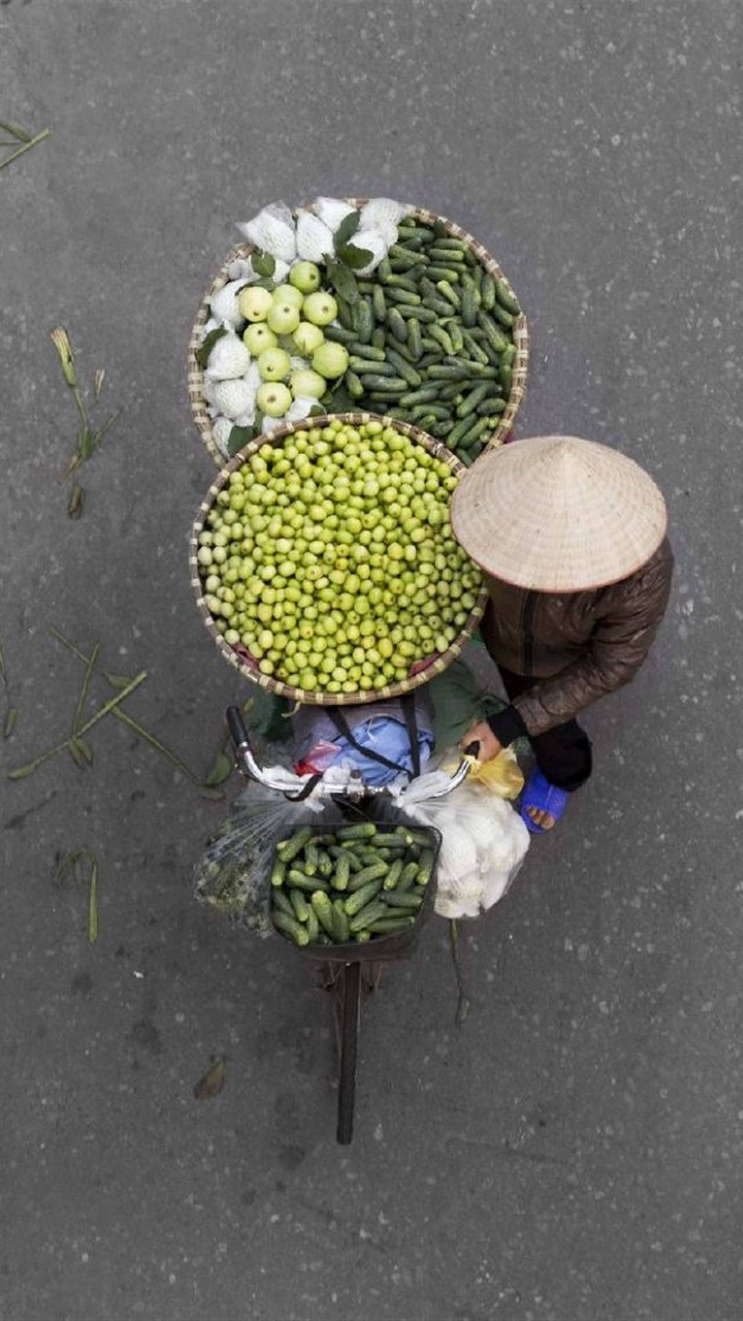 小清新水果背景