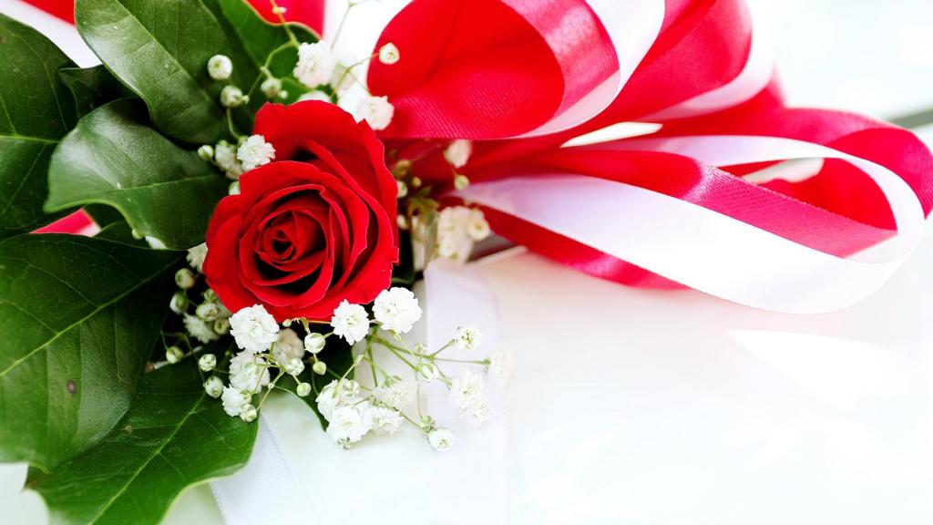 爱情总是美好的