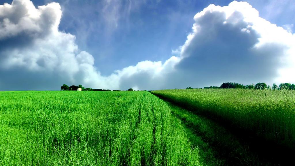 绿色清新护眼自然风景