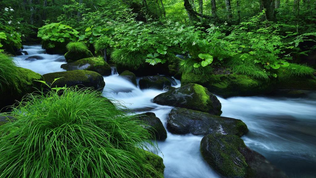 小溪流是恬静的