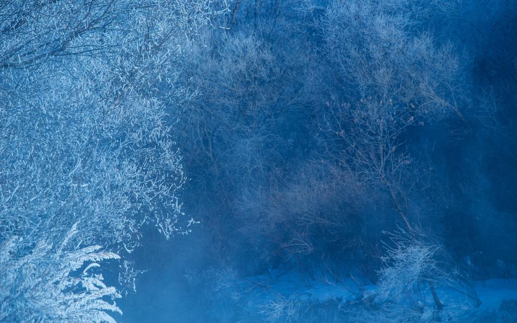 我的家乡有雾凇