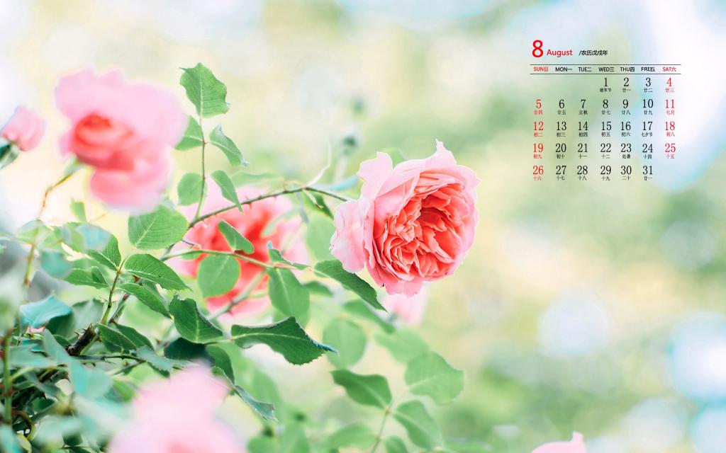 2018年8月唯美小清新图片日历
