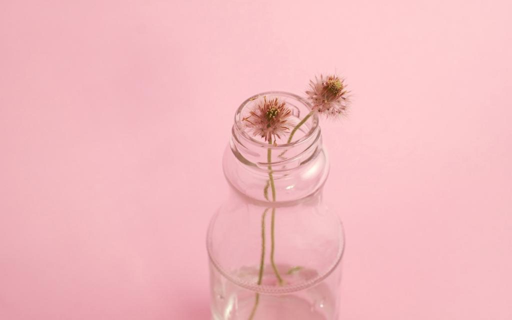 小清新唯美静物写真