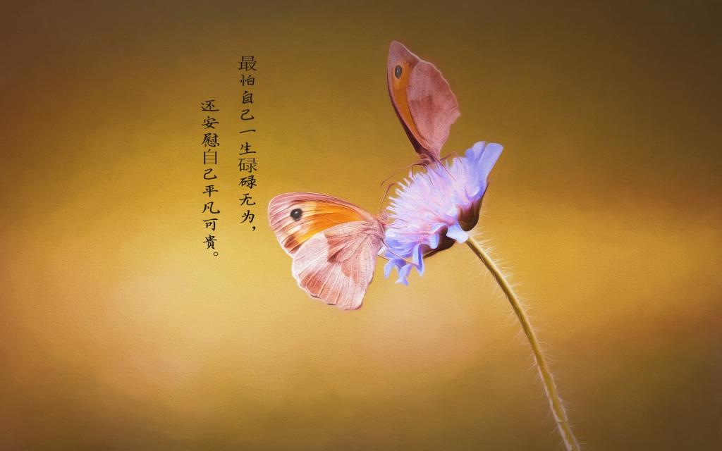 励志心语说说配图