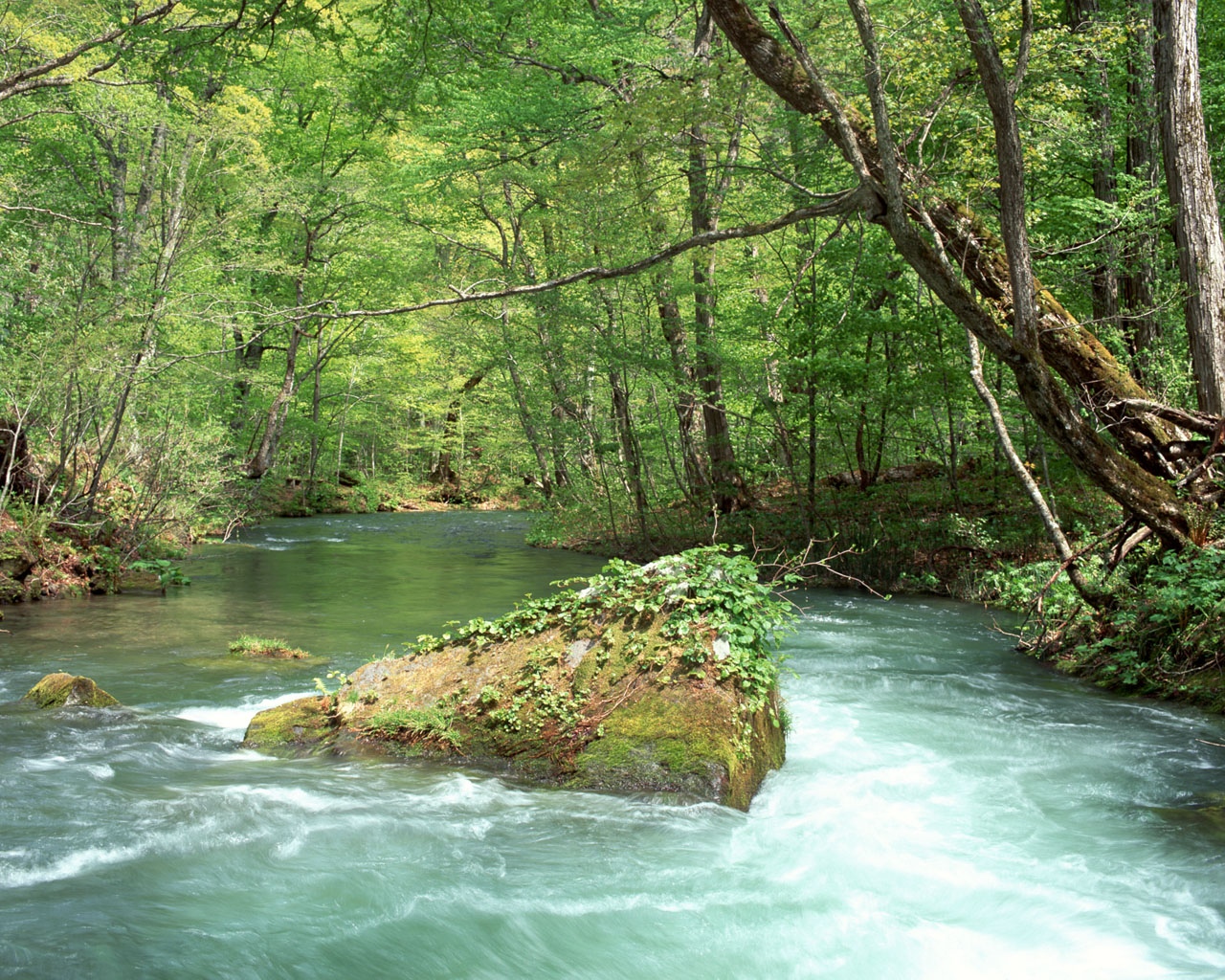 小溪流是恬静的