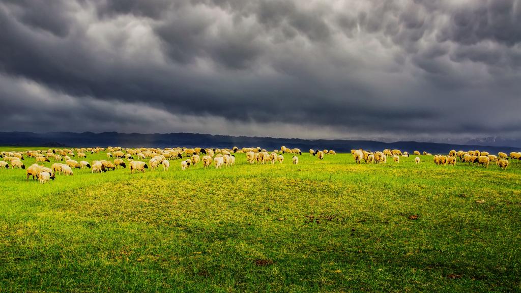 巴音布鲁克草原神秘的美