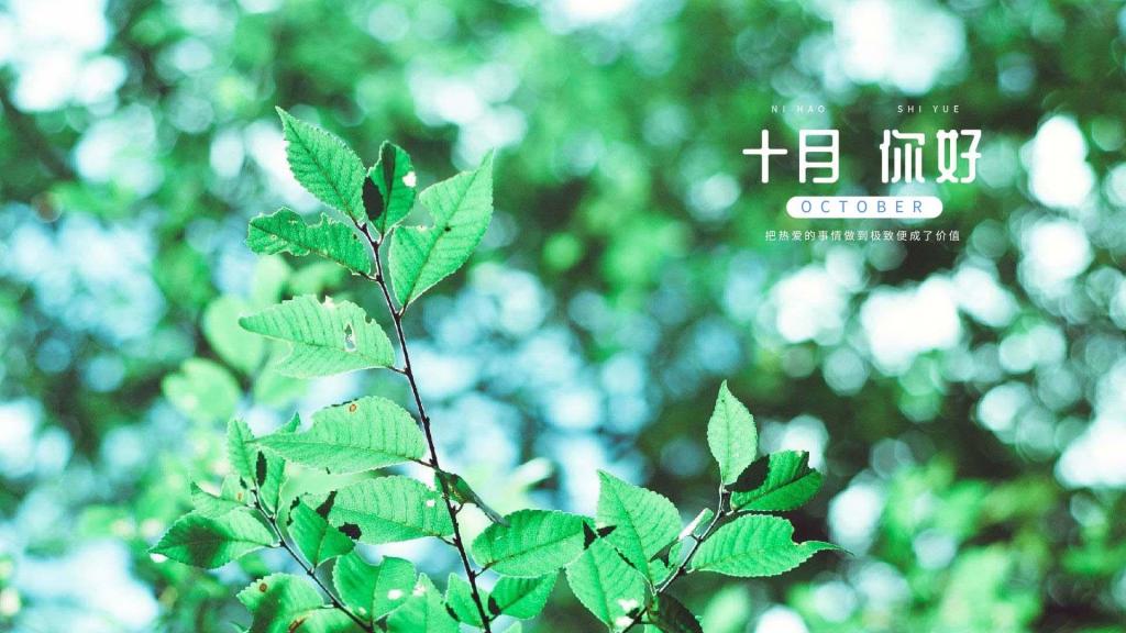 十月你好清新护眼绿植