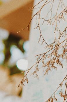 小清新静物唯美写真-3