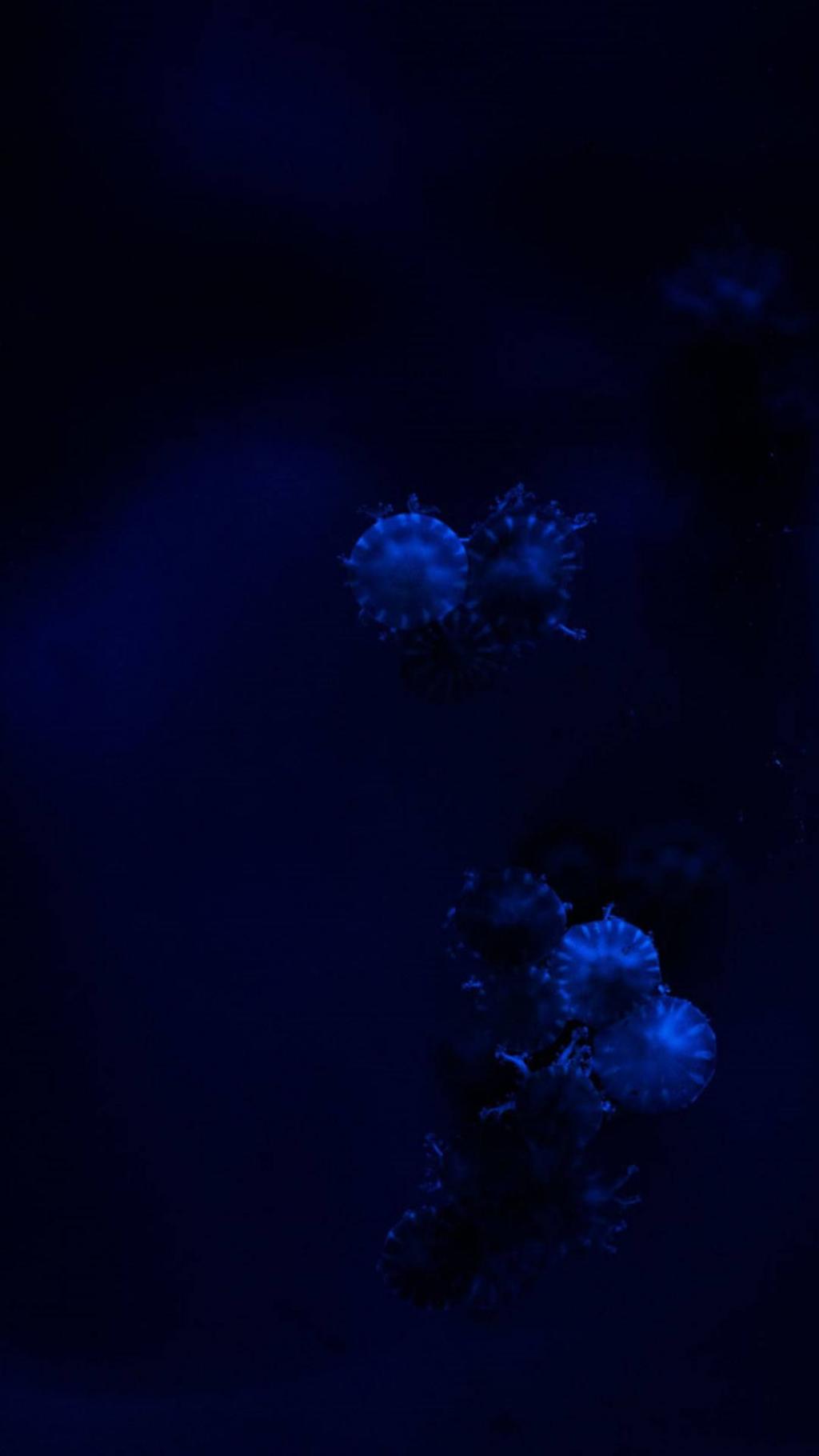 发光水母锁屏