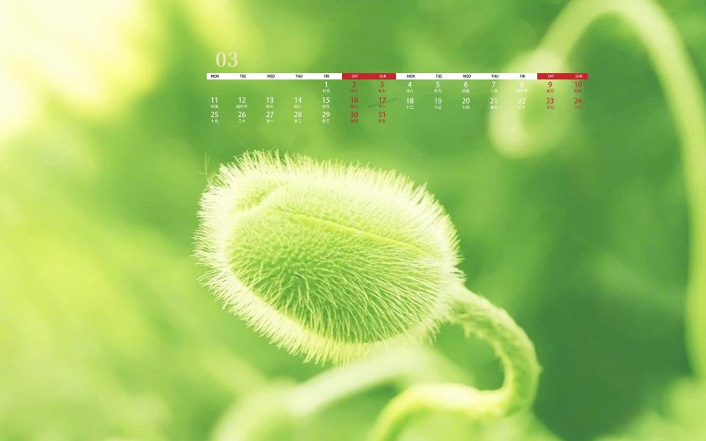 2019年3月绿色满人间日历