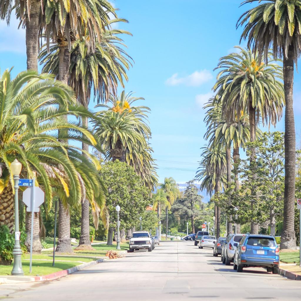 好莱坞清新迷人风景